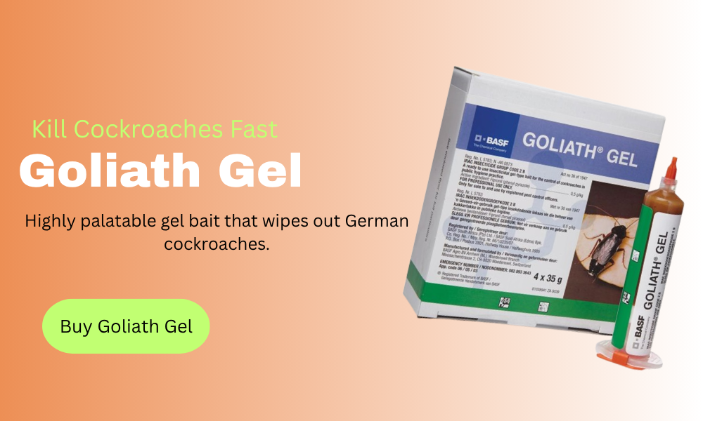 Buy Goliath Gel Cockroach Killer in Nairobi Kenya – German Cockroach Control