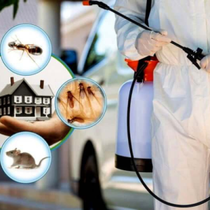 Pest Control