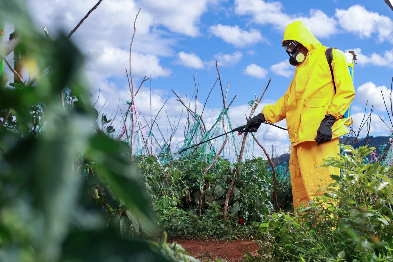 Protecting Farms and Farmers Why Surveil Agrochemicals is Nairobi’s Trusted Partner for Safe and Effective Pest Control
