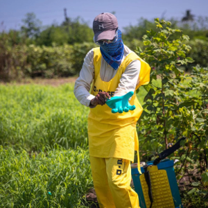 Crop Protection