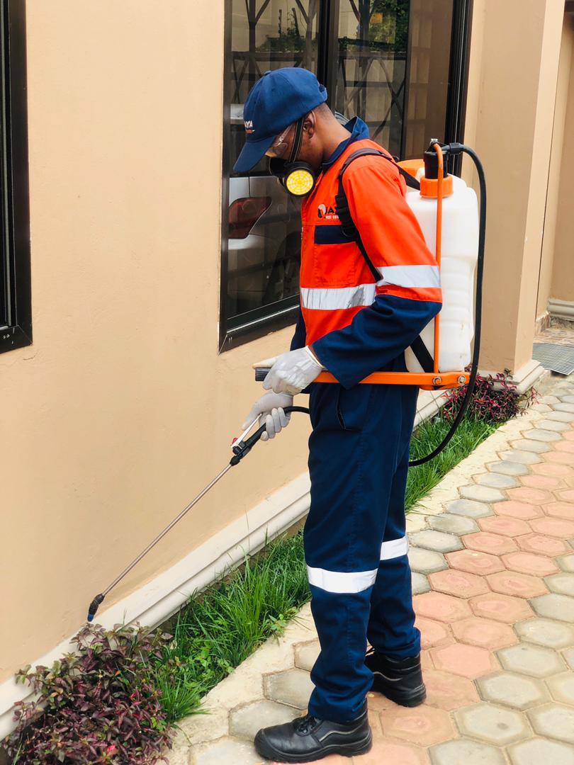Professional pest control and fumigation services in Kitengela Kajiado Kenya