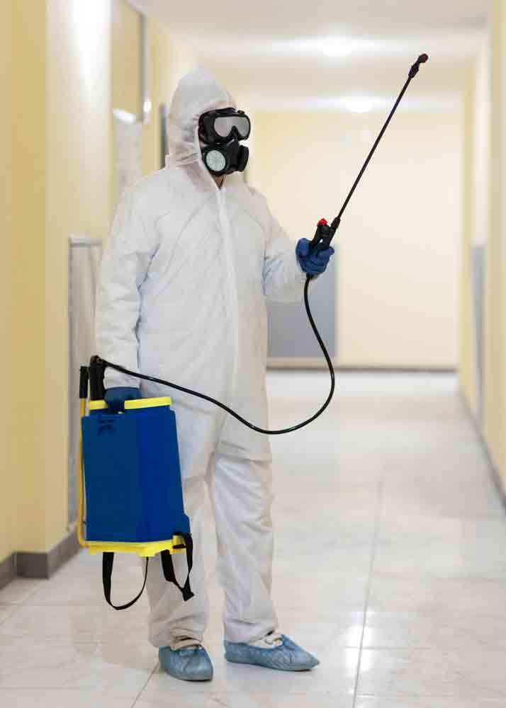 Professional pest control and fumigation services in Kajiado Kenya by Surveil Pest Control and Agrochemicals