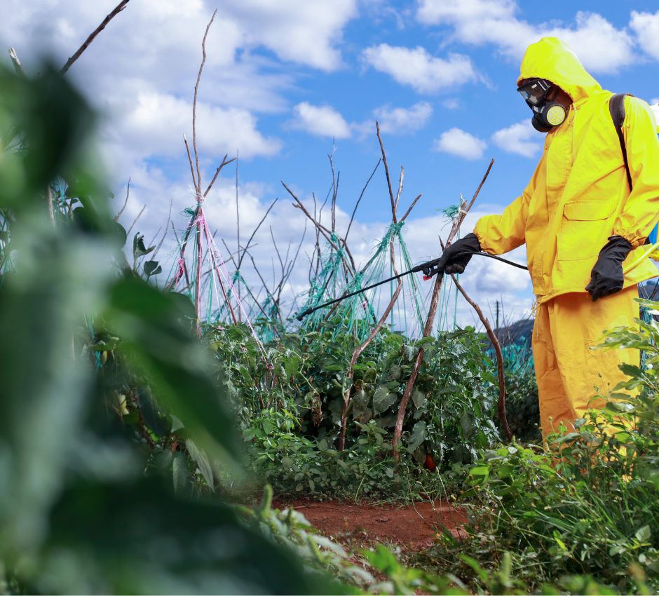 Professional pest control and fumigation services in Nairobi Kenya by Surveil Pest Control and Agrochemicals