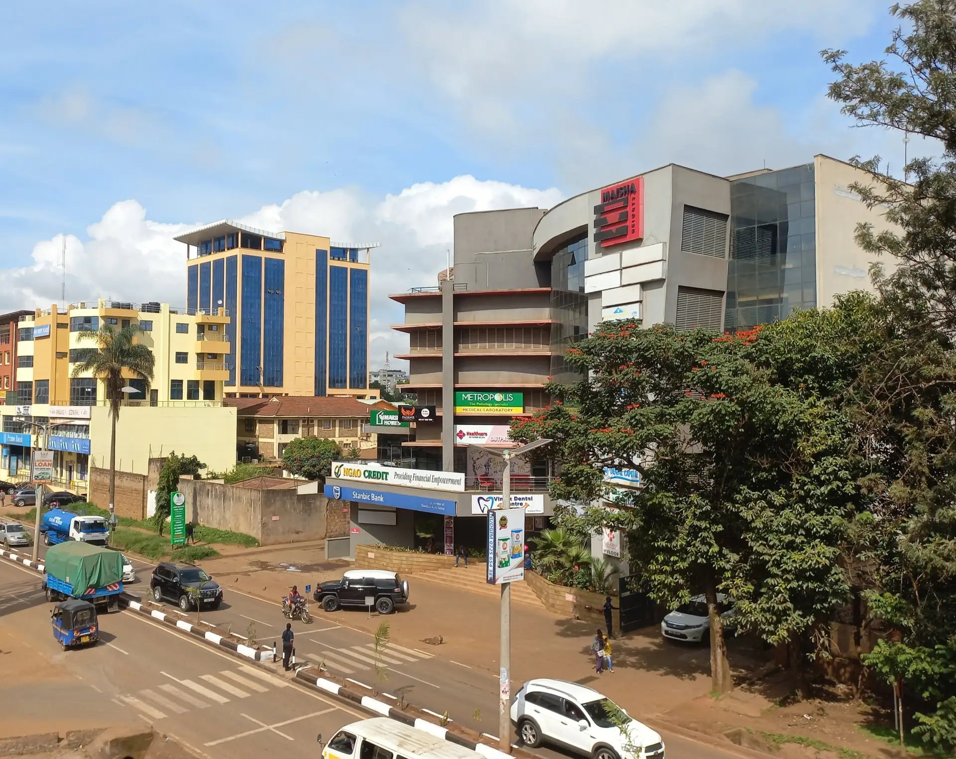 Thika town pest control and fumigation services by Surveil Pest Control and Agrochemicals
