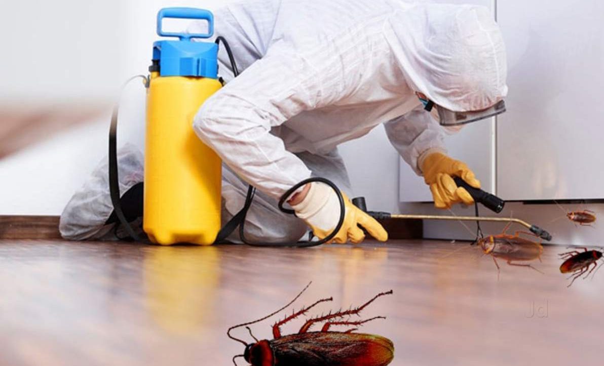 Pest control treatment for indoor pest problems