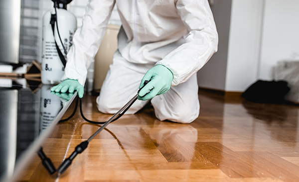 Commercial pest control technician