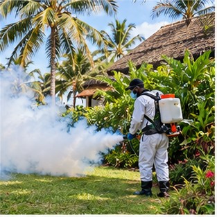Mosquito Control & Spraying in Diani